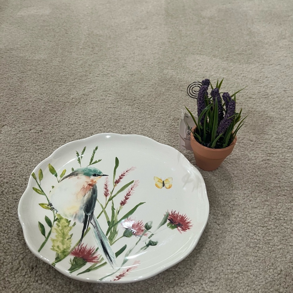 Plate and plant